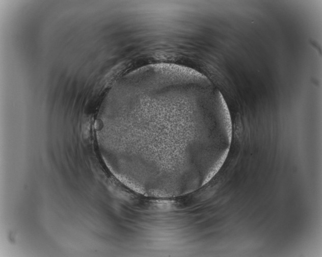 X0000102790233200809081056