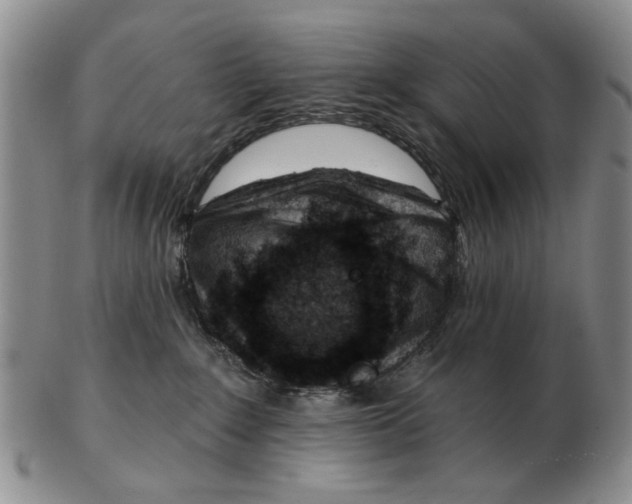 X0000102790235200809081056