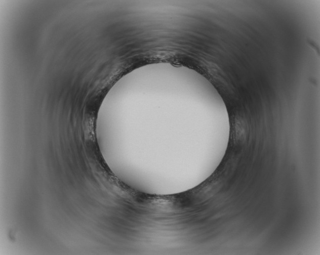 X0000102790236200809081056