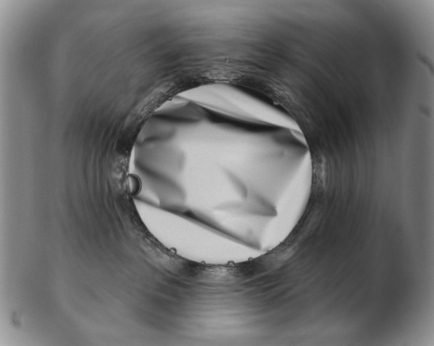 X0000102790237200809081056