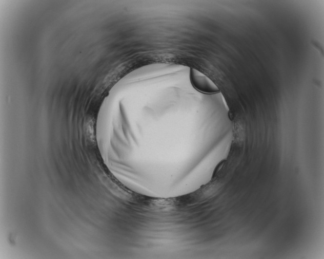 X0000102790238200809081056