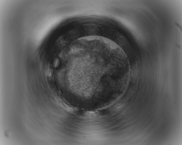 X0000102790239200809081056