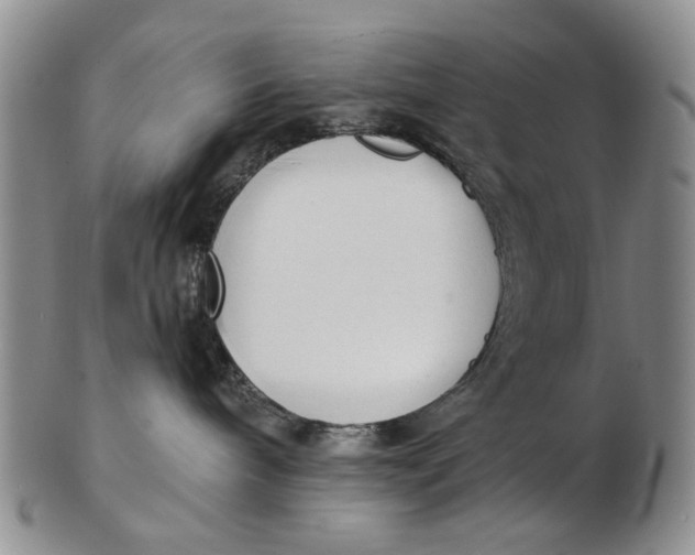 X0000102790240200809081056