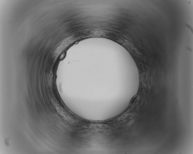 X0000102790242200809081056