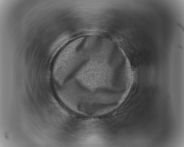 X0000102790243200809081056