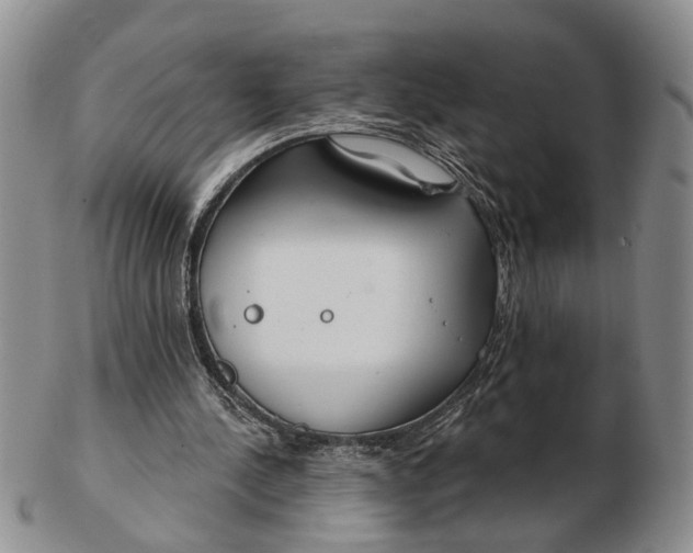 X0000102790244200809081056