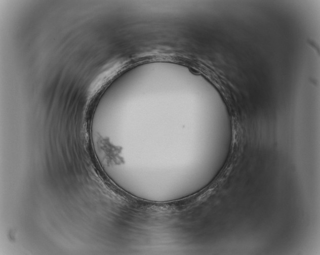 X0000102790245200809081056