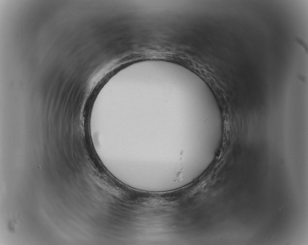 X0000102790246200809081056