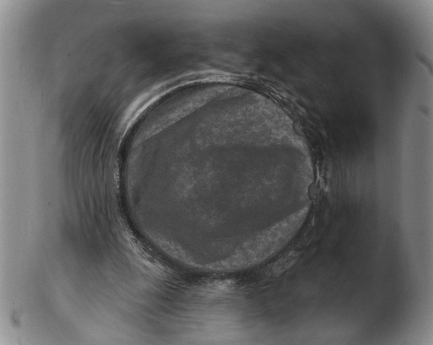 X0000102790247200809081056