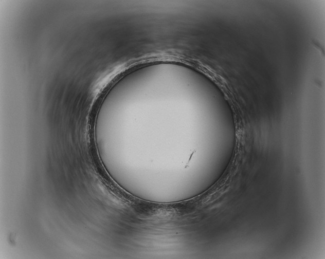 X0000102790248200809081056