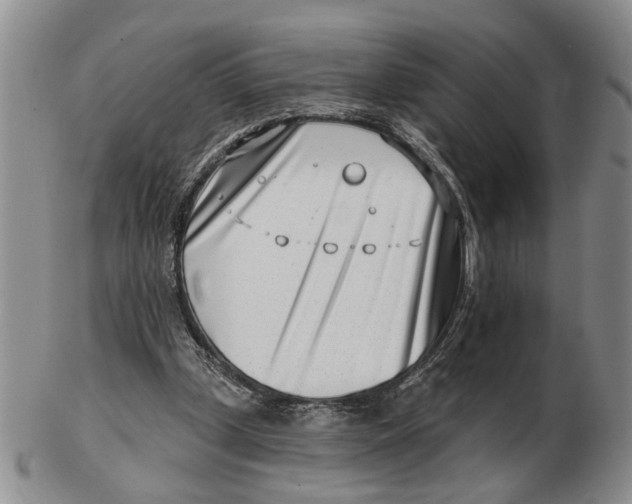 X0000102790249200809081056