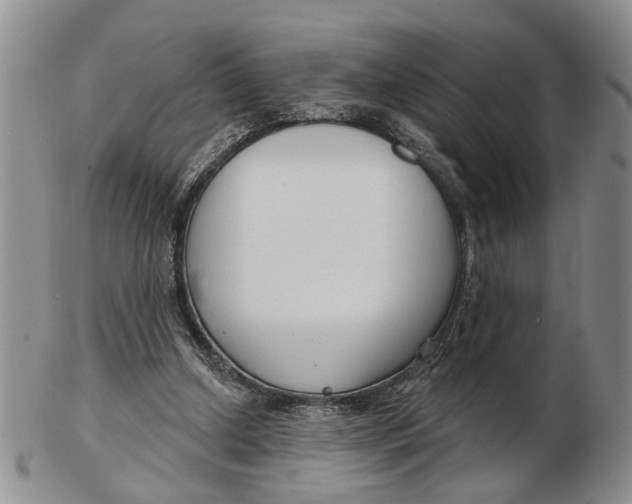 X0000102790250200809081056