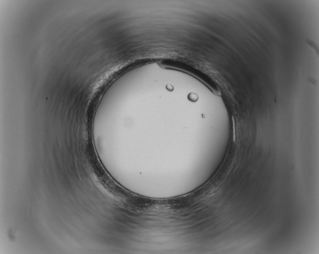 X0000102790252200809081056