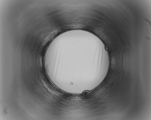 X0000102790254200809081056