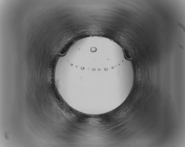 X0000102790255200809081056