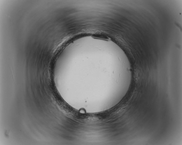 X0000102790256200809081056