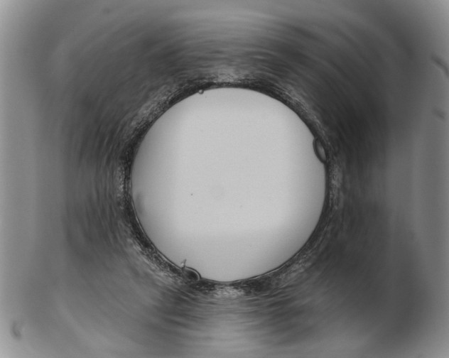 X0000102790257200809081056