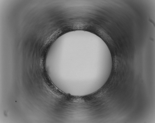 X0000102790258200809081056