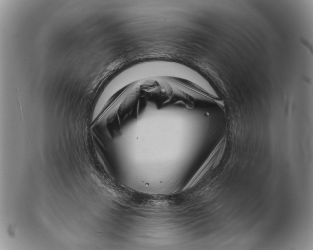 X0000102790260200809081056