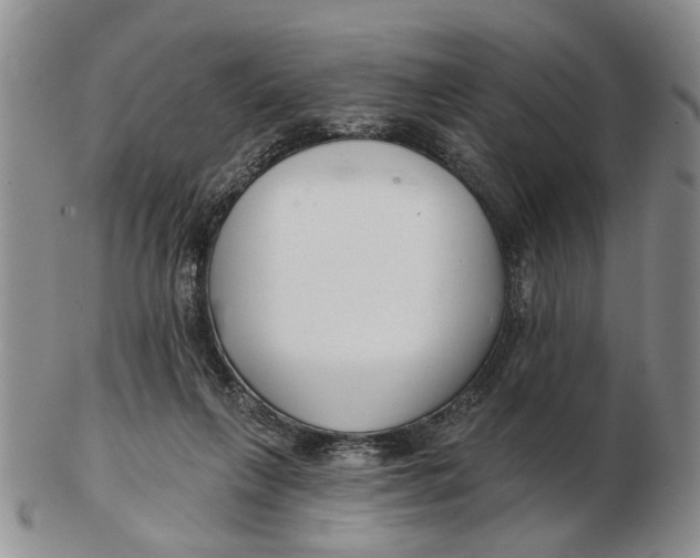 X0000102790263200809081056