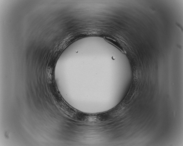 X0000102790264200809081056