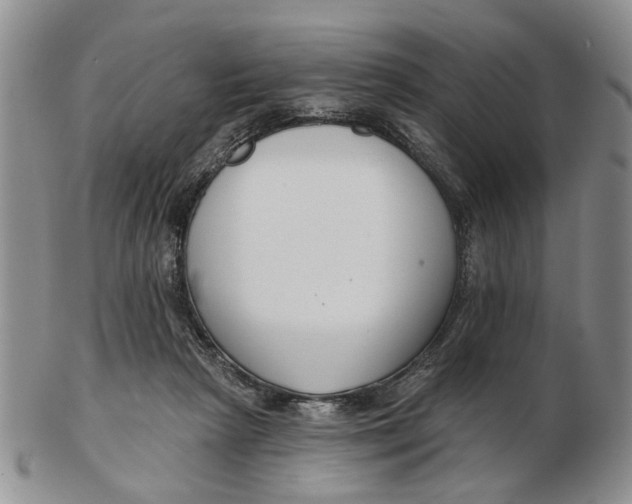 X0000102790265200809081056