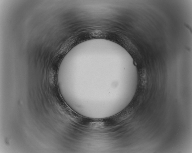 X0000102790266200809081056