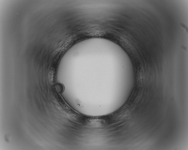 X0000102790268200809081056