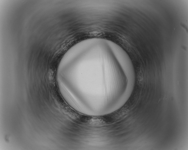 X0000102790270200809081056