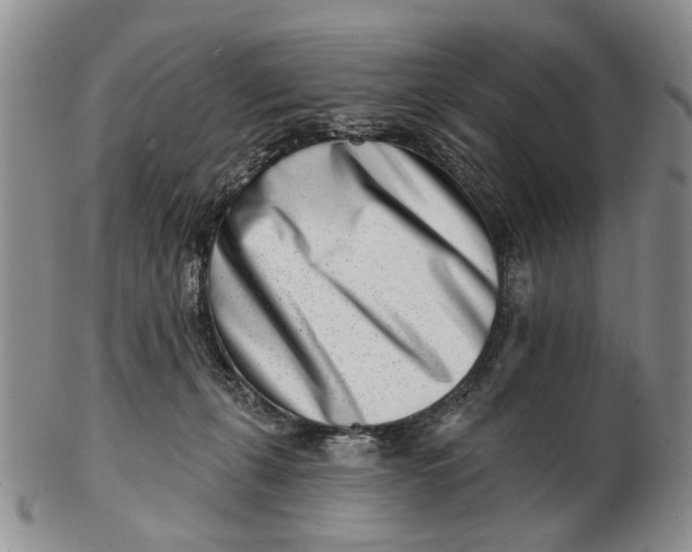 X0000102790271200809081056