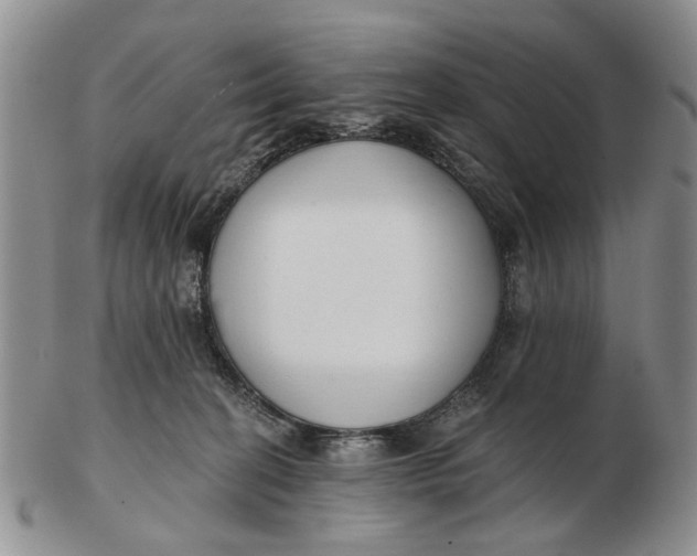 X0000102790274200809081056