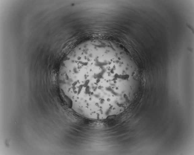 X0000102790276200809081056