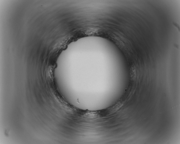 X0000102790280200809081056