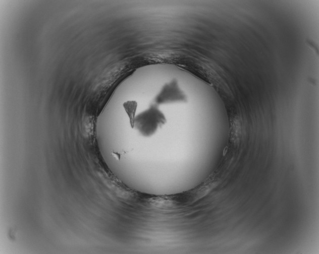 X0000102790284200809081056