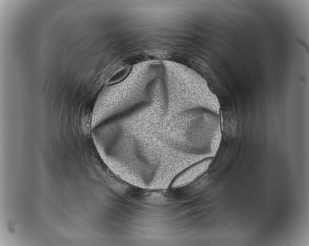 X0000102790285200809081056