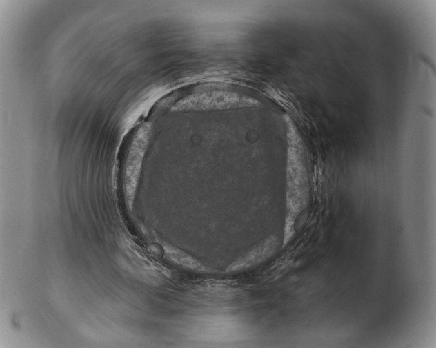 X0000102790292200809081056