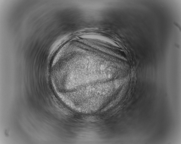 X0000102790293200809081055