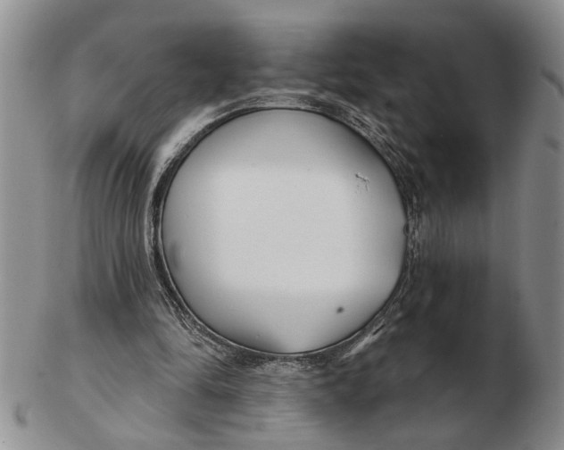 X0000102790294200809081055