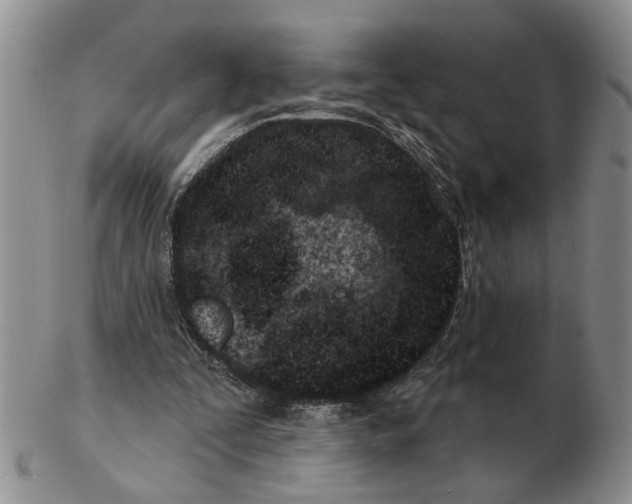 X0000102790295200809081055