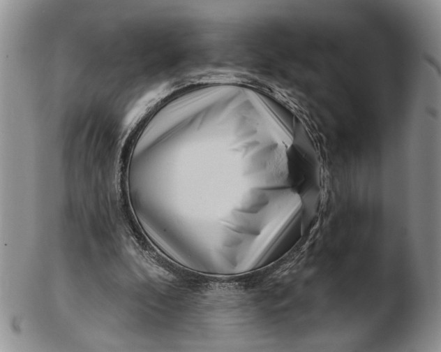 X0000102790296200809081055