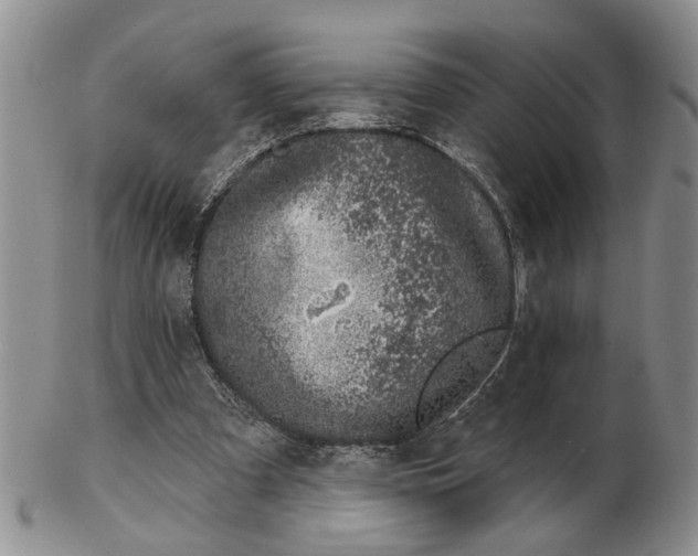 X0000102790297200809081055