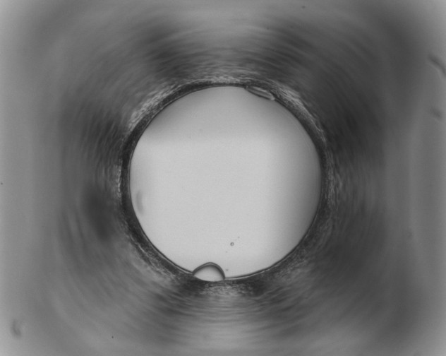 X0000102790299200809081055