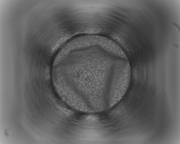 X0000102790303200809081055