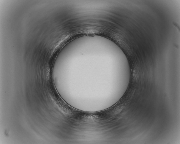 X0000102790304200809081055