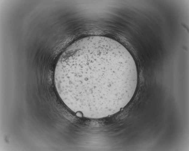 X0000102790305200809081055