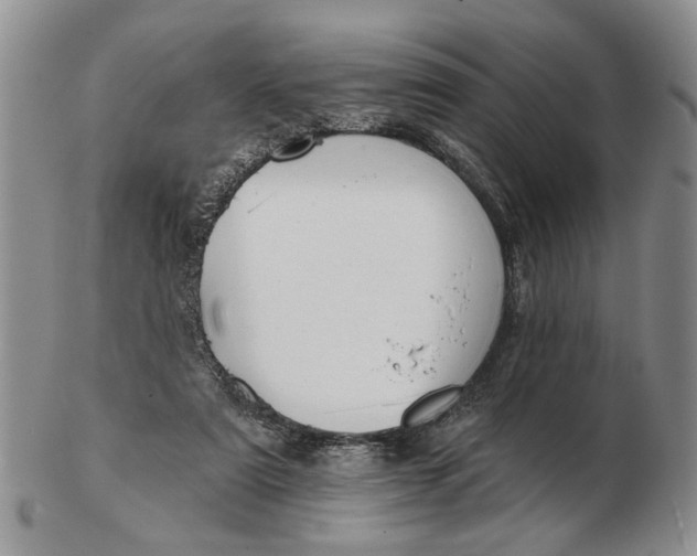 X0000102790307200809081055