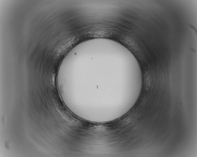 X0000102790310200809081055