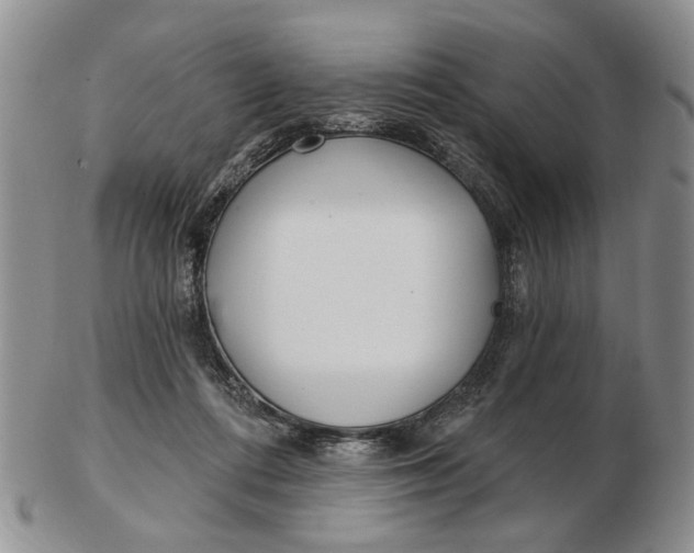 X0000102790312200809081055