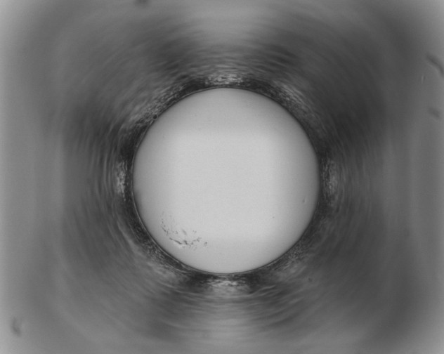 X0000102790315200809081055