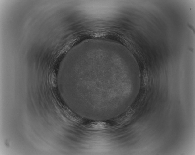 X0000102790316200809081055